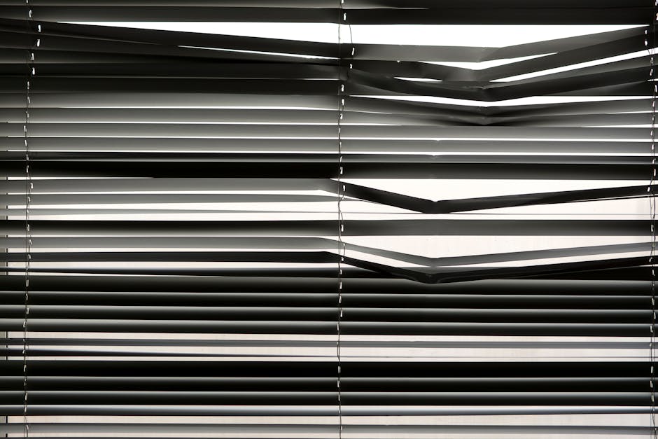 Modern fabric roller window shades in a contemporary room